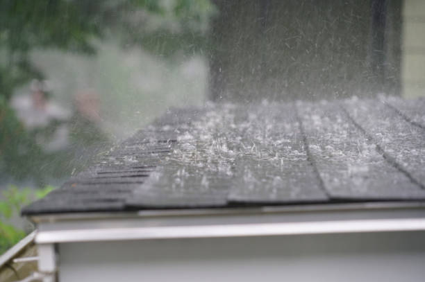 Best Gutter Installation and Repair  in Leesburg, OH
